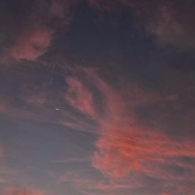 valentinrossi_'s profile picture. Nada