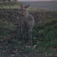 mika (@mika53cc) 's Twitter Profile