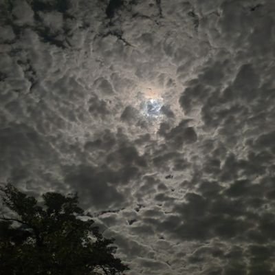 mizukubo3's profile picture. 