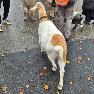 margoleach's profile picture. Byeeeeeee