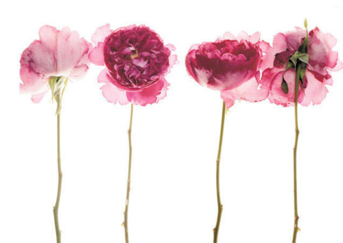 ElonHandmade's profile picture. We are a co-operative being developed by Elon students to support local artists and the creation of local art in the community.