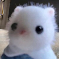 あ (@0n3ce) 's Twitter Profile
