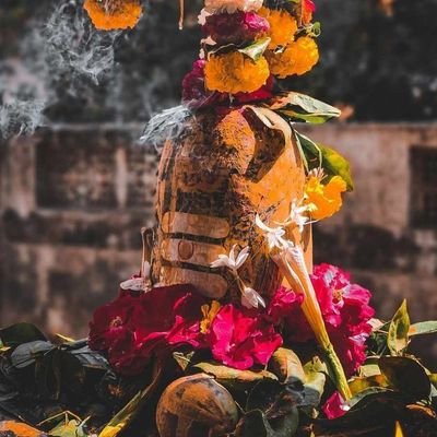 SwatiMi56779802's profile picture. Be true to yourself. ﮩ٨ـﮩﮩ٨ـ♡