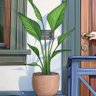 manzzo_1021's profile picture. 🎨🖌