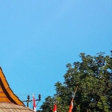 Nanfad03's profile picture. backburner Top 1🌑