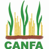 Canfa Inc(@canfainc) 's Twitter Profile Photo