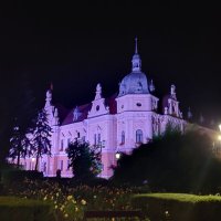 かきのたね (@kaki_forests) 's Twitter Profile Photo