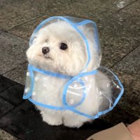 さき (@saki3939415) Twitter profile photo