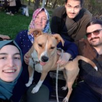 HAMDİ. (@hamdiaga2) 's Twitter Profile