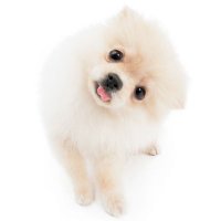 ์๋ (@youngduu4) 's Twitter Profile Photo ์๋ (@youngduu4) 's Twitter Profile Photo