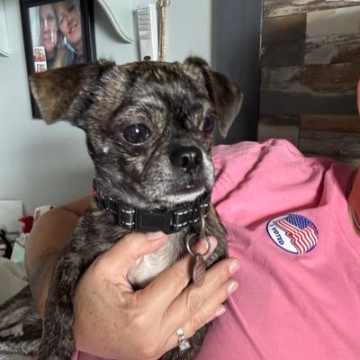 klyng05's profile picture. #AngryWoman #VoteBlue #BlueWave2022 #BlueCrew #LGBTWife #BLM #TransLivesMatter #GunReformNow #EndGunViolence #ProChoice #WomensRights #BlueDotInARedState 🚫DMs