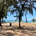 Lolo Mauritius (@lolomauritius) Twitter profile photo Lolo Mauritius (@lolomauritius) Twitter profile photo