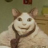 zenWarrior228's profile picture. 