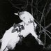 ≠ (@grossuceur2ieps) Twitter profile photo ≠ (@grossuceur2ieps) Twitter profile photo