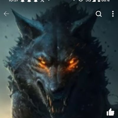 Just a simple Fox looking to help reconnect