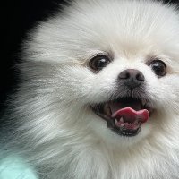 美凛 (@kyujin_555) 's Twitter Profile