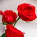 Samsur Nahar Ripa (@ripasamsur10577) Twitter profile photo Samsur Nahar Ripa (@ripasamsur10577) Twitter profile photo