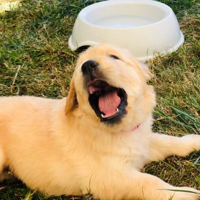 IAmPhata's profile picture. 