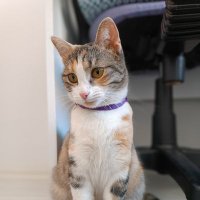 Aslı (@ekm303) 's Twitter Profile Photo
