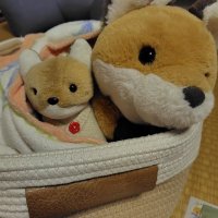 藍高四輝 (@4otuteru_a1daka) 's Twitter Profile Photo