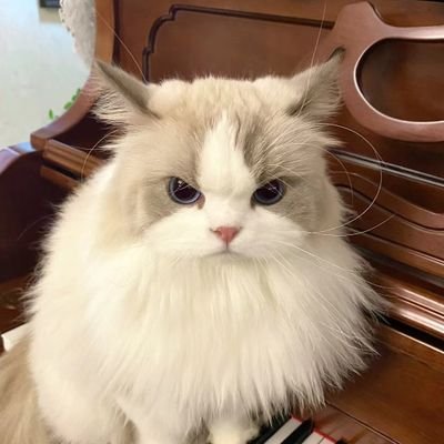 makeana_ava's profile picture. 