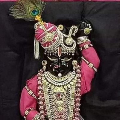 PuneetaBih92099's profile picture. 
