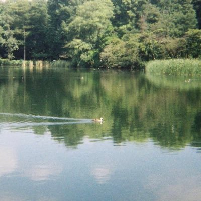 nnmnnmnnnnnnm's profile picture. うまいうまい生活