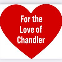 Christine T D Ellis Vice Mayor ChNdler AZ (@christinetdell1) 's Twitter Profile