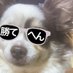 70 (@n7o_7on) Twitter profile photo 70 (@n7o_7on) Twitter profile photo