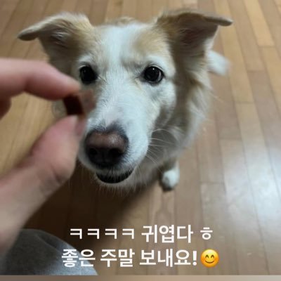 fluffyf3icute3's profile picture. ࣪⠀ ִ—— ۫ ּ ֗ เเม่น้องจุ้บเร้ก @enhypen #EN_WORLDTOUR_WALKTHELINE ——