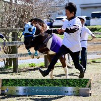 日本一馬好きな呉服屋の我妻とエピ🐴コジュウチョウサン (@umagasukidesuyo) Twitter profile photo