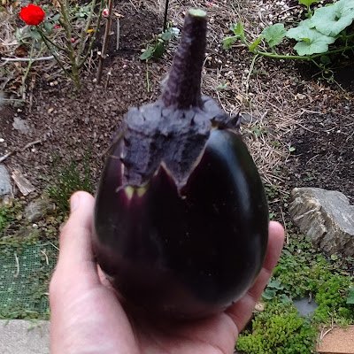 rx000729's profile picture. 