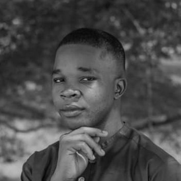 BinnaDev's profile picture. Blockchain Developer: Specializing in DeFi Protocols & Smart Contracts | Technical Writer | Helping newbies onboard into Web3