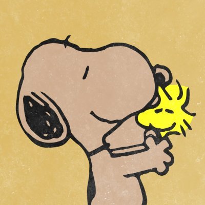 Daily Amazing Snoopy content 🎇
#snoopy #peanuts #charliebrown #snoopdog