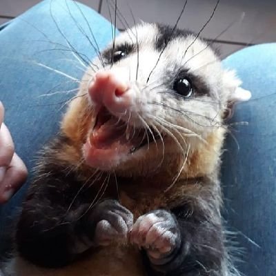 aligniginah's profile picture. gaymer e não monogâmico