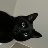 JB (@buxtonjulia) 's Twitter Profile Photo JB (@buxtonjulia) 's Twitter Profile Photo