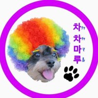 Casual Tee (@jh212934722624) 's Twitter Profile