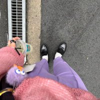 はる (@kchr_m) 's Twitter Profile