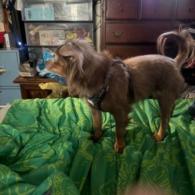 Julianbwalker4's profile picture. I’m a nice guy don’t judge and I like 90 tv show and play video games