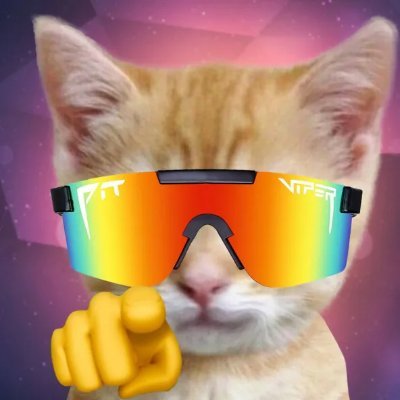 MAssad09817674's profile picture. 