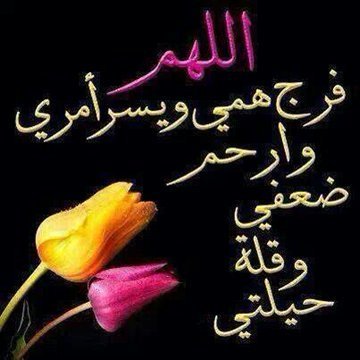 tslym13271's profile picture. 