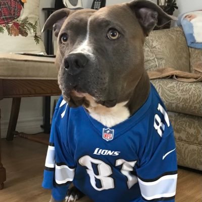Proud Member of Leafs Nation, Lets go Blue Jays!!!, #Raptors #WeTheNorth, Detroit Lions fan #onepride and all around sports fanatic. #PlayLineArmy