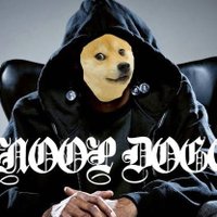 Snoop Doge (@snoop_dogey) 's Twitter Profile