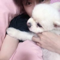 유려 (@ppangsub12) 's Twitter Profile