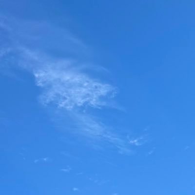 hostyno's profile picture. 