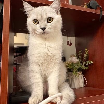 BusyBox120647's profile picture. 