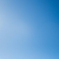 Sarah Dahlinger - Find Astra Fauna on BlueSky! (@sdahlingerart) 's Twitter Profile