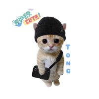 thisis_tong_ (@ananyatong1310) 's Twitter Profile Photo thisis_tong_ (@ananyatong1310) 's Twitter Profile Photo