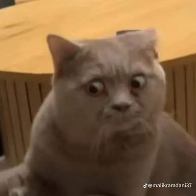 Susanxmt's profile picture. 