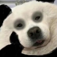 NemoEugene (@nemoeugene) 's Twitter Profile Photo NemoEugene (@nemoeugene) 's Twitter Profile Photo